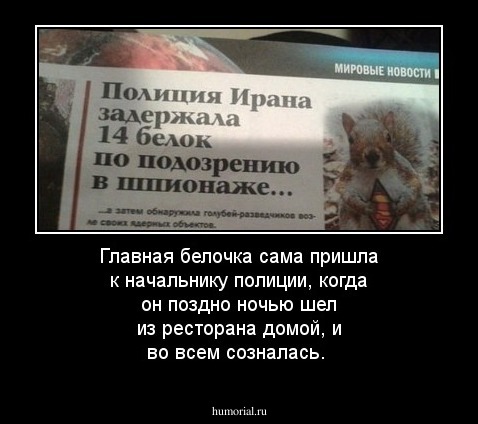 Главная белочка сама пришла к начальнику полиции, когда он поздно ночью шел из ресторана домой, и во всем созналась.