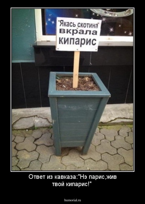 Ответ из кавказа:"Нэ парис,жив твой кипарис!"