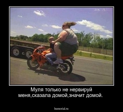 Муля только не нервируй меня,сказала домой,значит домой.