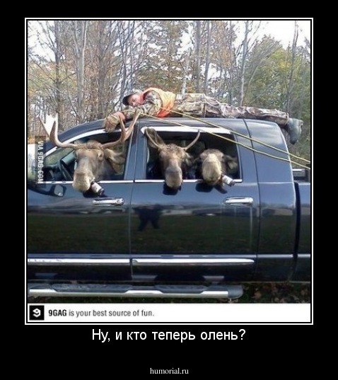 Ну, и кто теперь олень?