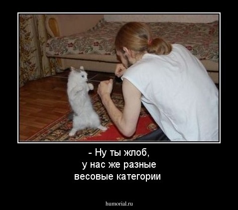 - Ну ты жлоб, у нас же разные весовые категории