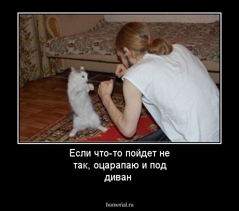 Если что-то пойдет не так, оцарапаю и под диван