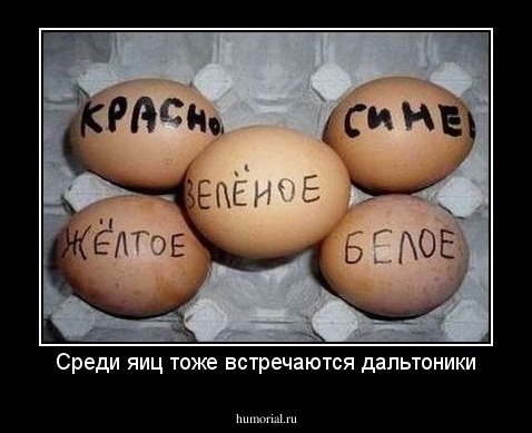 Среди яиц тоже встречаются дальтоники