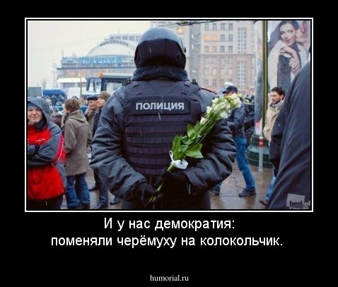 И у нас демократия: поменяли черёмуху на колокольчик.