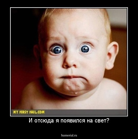 И отсюда я появился на свет?