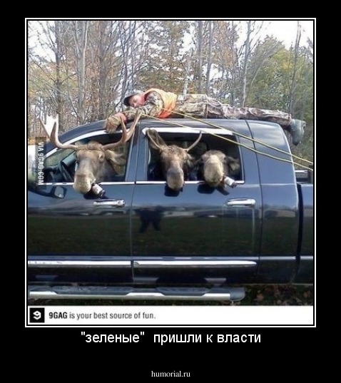  "зеленые"  пришли к власти 