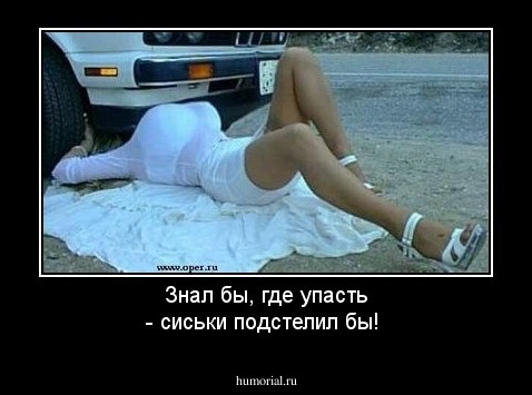 Знал бы, где упасть - сиськи подстелил бы!
