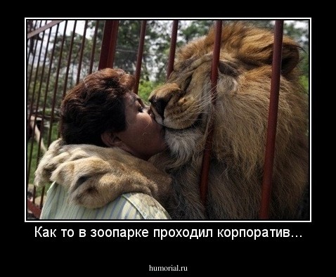 Как то в зоопарке проходил корпоратив...