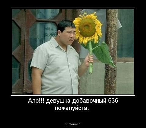 Ало!!! девушка добавочный 636 пожалуйста.