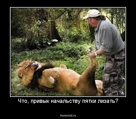 Что, привык начальству пятки лизать?