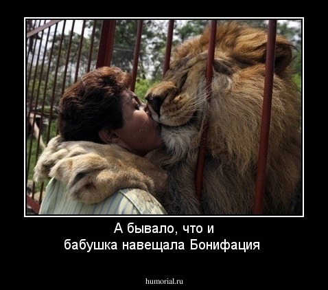 А бывало, что и бабушка навещала Бонифация