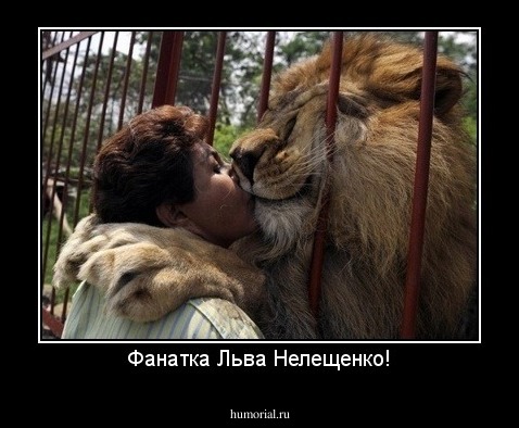 Фанатка Льва Нелещенко!