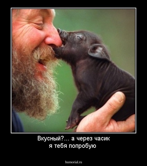 Вкусный?... а через часик я тебя попробую