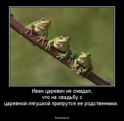 Иван царевич не ожидал, что на свадьбу с царевной-лягушкой припрутся ее родственники. 