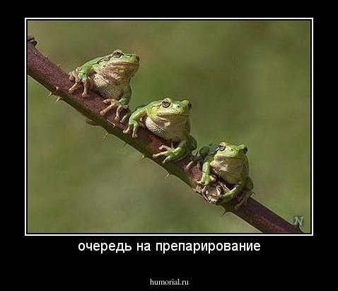 очередь на препарирование