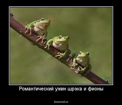 Романтический ужин шрэка и фионы