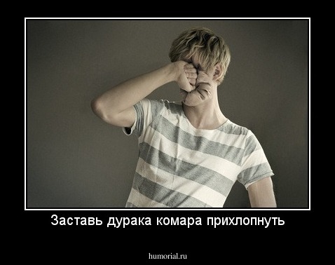 Заставь дурака комара прихлопнуть