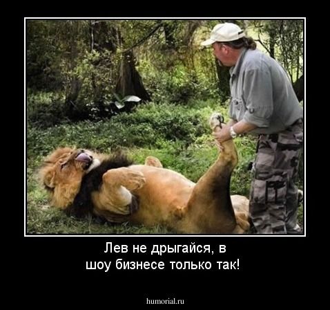 Лев не дрыгайся, в шоу бизнесе только так! 