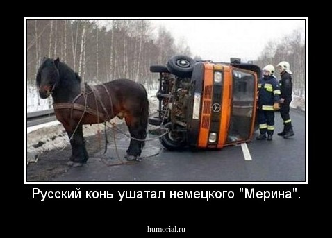 Русский конь ушатал немецкого "Мерина".