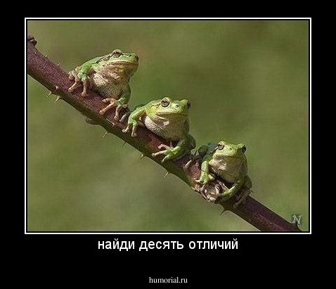 найди десять отличий