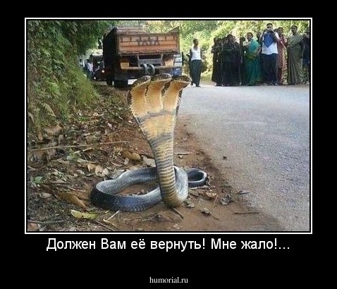 Должен Вам её вернуть! Мне жало!...