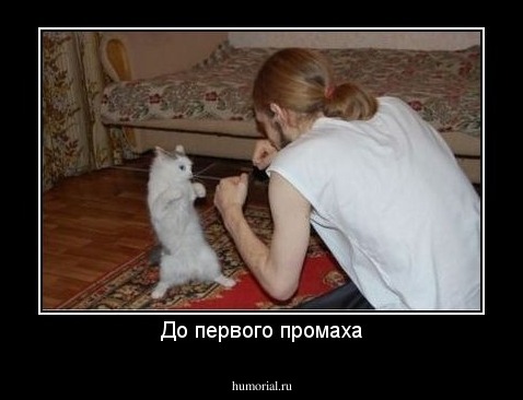 До первого промаха
