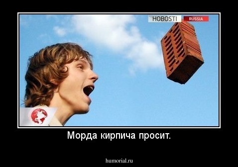 Морда кирпича просит.