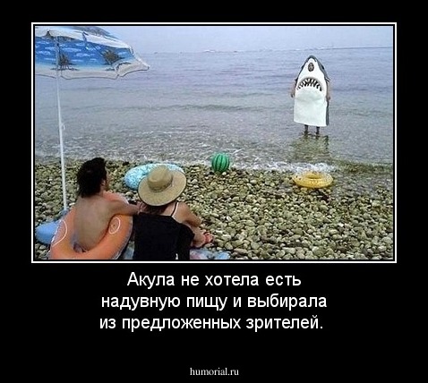 Акула не хотела есть надувную пищу и выбирала из предложенных зрителей. 