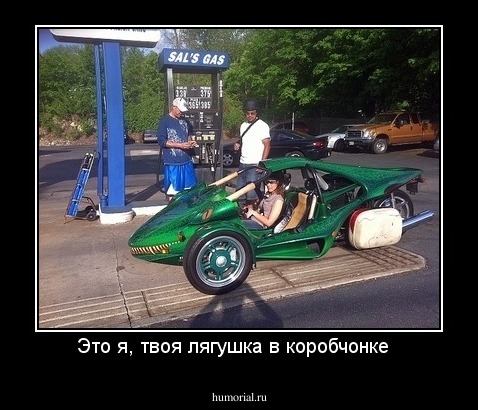 Это я, твоя лягушка в коробчонке  