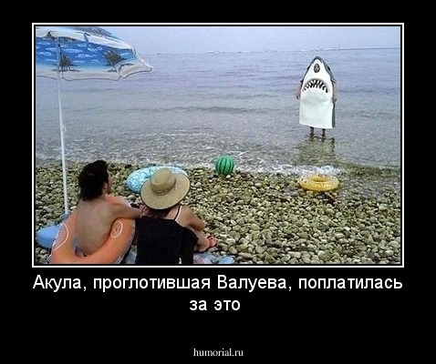 Акула, проглотившая Валуева, поплатилась за это