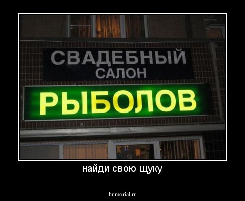 найди свою щуку