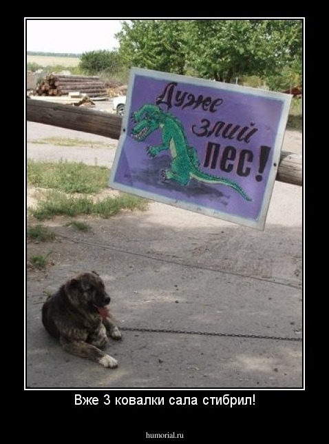 Вже 3 ковалки сала стибрил!