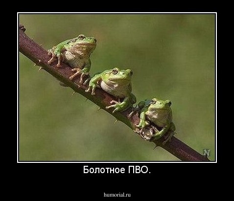 Болотное ПВО.