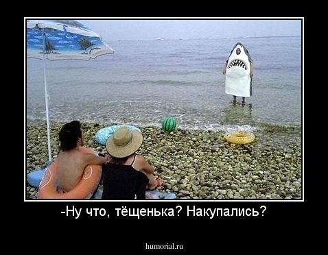 -Ну что, тёщенька? Накупались?