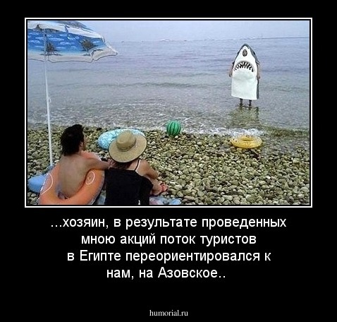...хозяин, в результате проведенных мною акций поток туристов в Египте переориентировался к нам, на Азовское..
