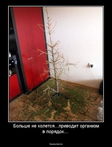 Больше не колется...приводит организм в порядок...