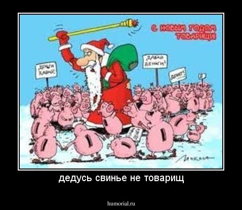 дедусь свинье не товарищ