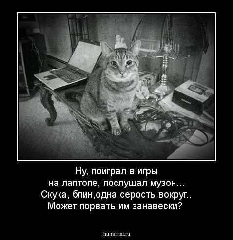Ну, поиграл в игры на лаптопе, послушал музон... Скука, блин,одна серость вокруг.. Может порвать им занавески?