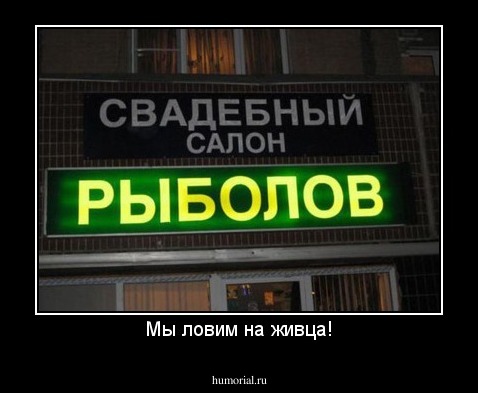 Мы ловим на живца!