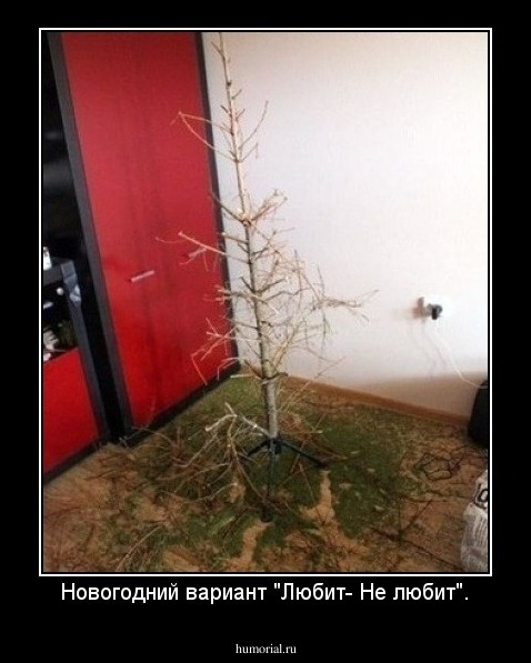 Новогодний вариант "Любит- Не любит".