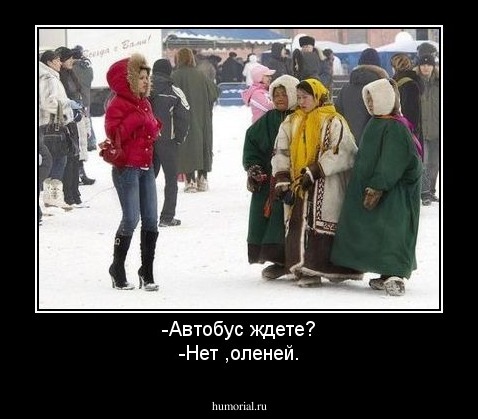 -Автобус ждете?
-Нет ,оленей.