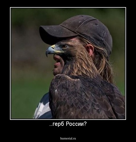 ..герб России?