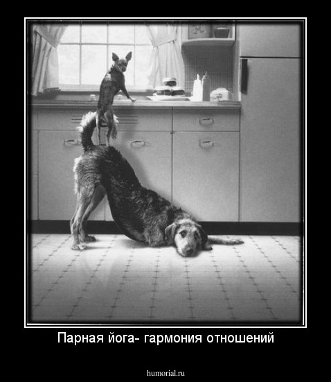 Парная йога- гармония отношений