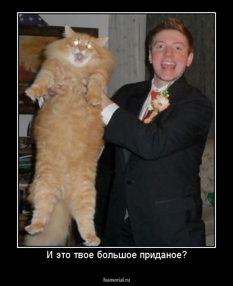 И это твое большое приданое?