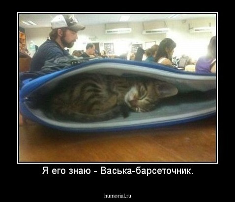 Я его знаю - Васька-барсеточник.