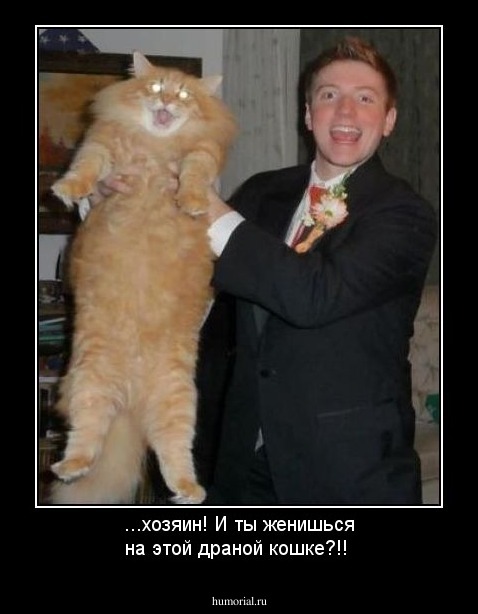 ...хозяин! И ты женишься на этой драной кошке?!!