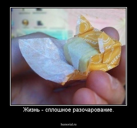 Жизнь - сплошное разочарование.