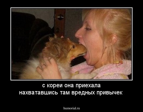 с кореи она приехала нахватавшись там вредных привычек