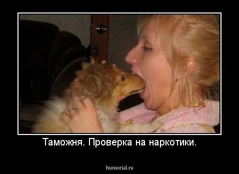Таможня. Проверка на наркотики.