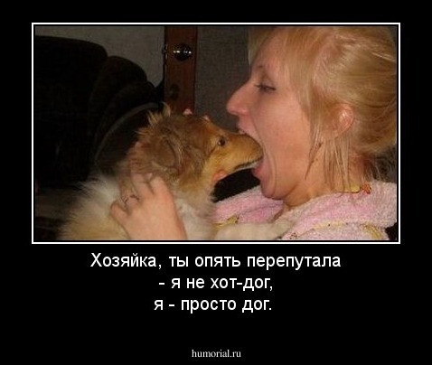 Хозяйка, ты опять перепутала - я не хот-дог, я - просто дог.